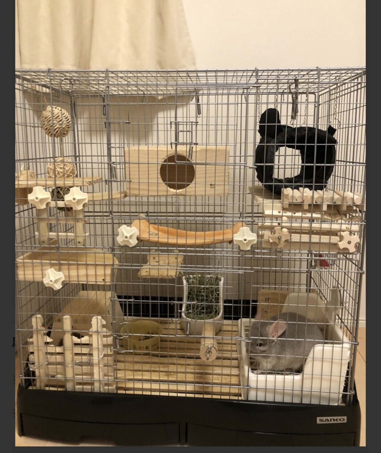 チンチラ育成セット(未使用と中古) GEX チンチラプレミアムフードシンバイオティクスブレンド 600g