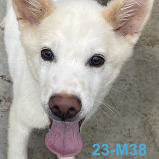 23-M38 可愛すぎ～～～♪