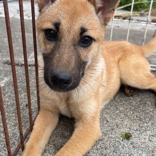 K23-W122　とっても甘えたな女の子♪