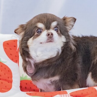 はにかみやさんのマイペースな女の子♡