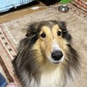 かまってちゃんのジュリちゃん サムネイル2