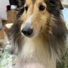 かまってちゃんのジュリちゃん サムネイル3