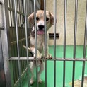 ありがとうございました！