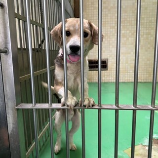 ありがとうございました！