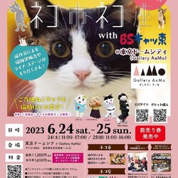 保護猫譲渡会@ネコ市ネコ座