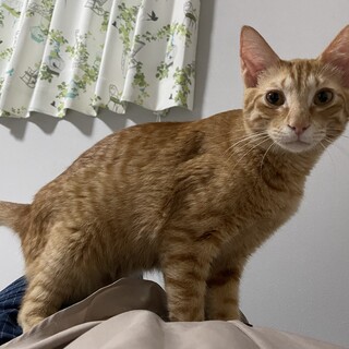 誰にでも甘えます！