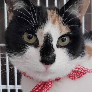 個性的なミケジョ♡