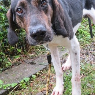 細マッチョでヘタレ心優しい♡ジルベールジロー