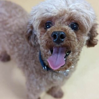 ジョエルくん！