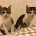 ふたりそろって可愛すぎる姉妹です。