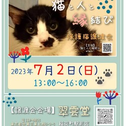 ★ 猫の譲渡会 in 稲荷町 ★