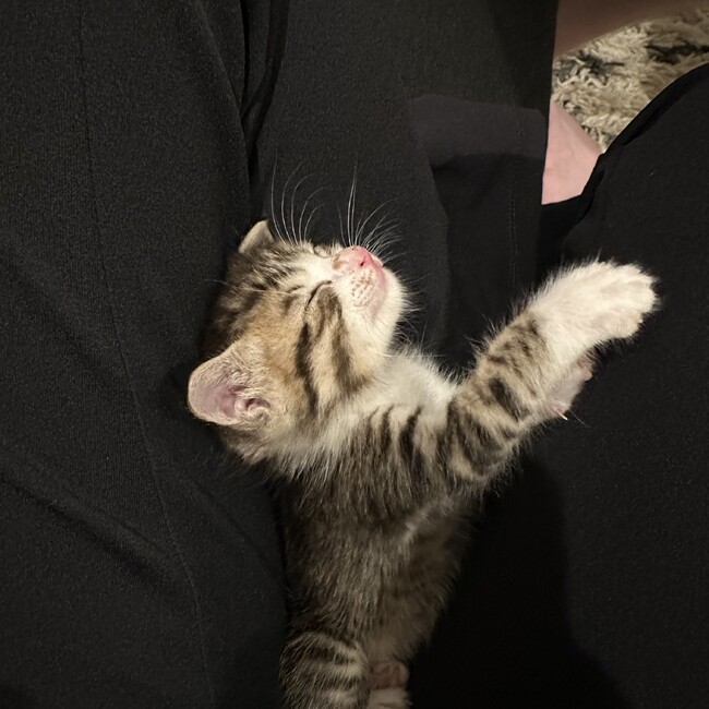 ずっとのお家を探していますのカバー写真
