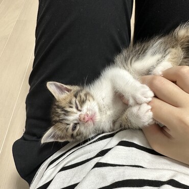 21時になると眠たくなります