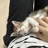 21時になると眠たくなります