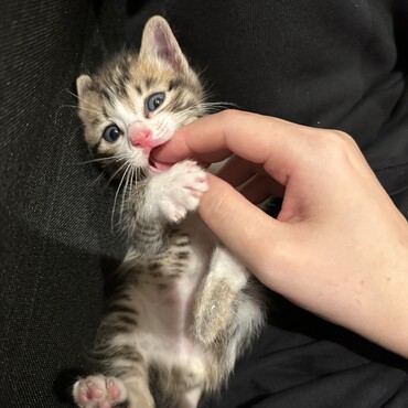 一緒に遊ぶことが大好きです