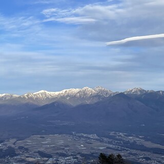 ボーダーコリー  オス