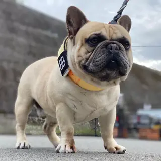 大事にしてくれる方募集