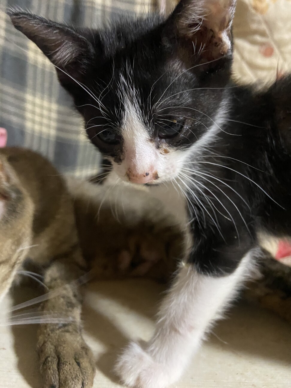 〇〇くん(まだ名無しです)