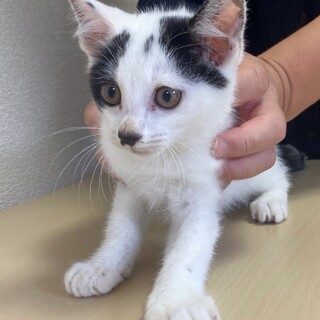 のんびりやの男の子☆ダイ君