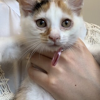 好奇心旺盛な女の子シェリーちゃん♪