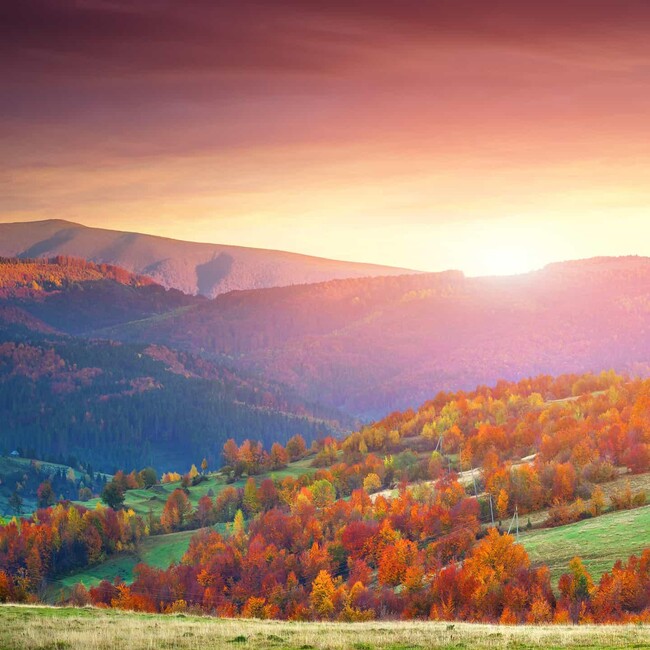 かろごんのカバー写真