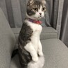 の写真