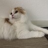 の写真