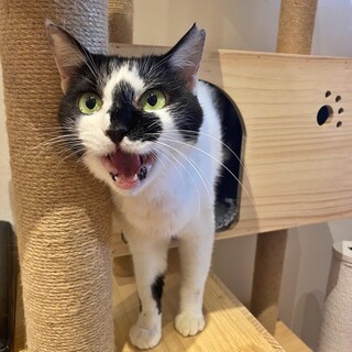 人が大好きな甘えん坊さん♡【ポテチ】