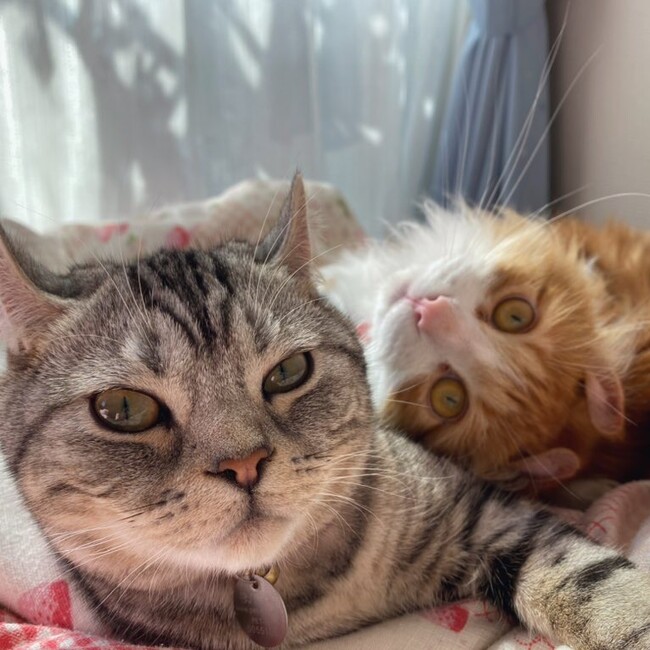 asamaruのカバー写真