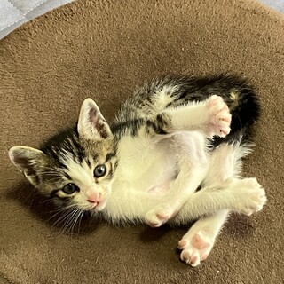 元気いっぱい！遊ぶのが大好きな男の子