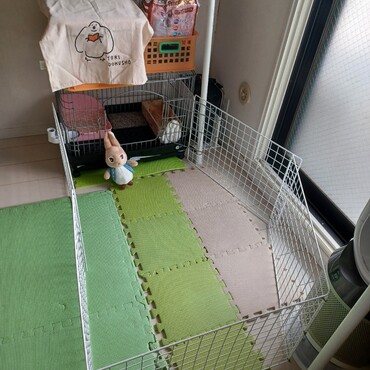うさちゃんの遊び場