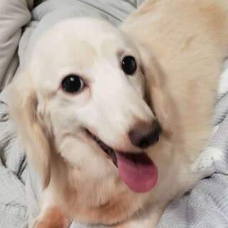 明るく元気な女の子6歳くらい