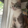 ベルルイ