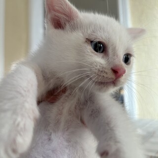 〝青くん〟です♪