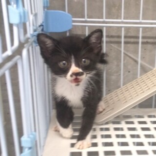 ありがとうございました！