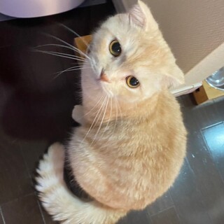 甘えん坊なストーカー男子☆パンくん