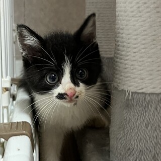 天然ぼけで甘えんぼ！のんびりやさん