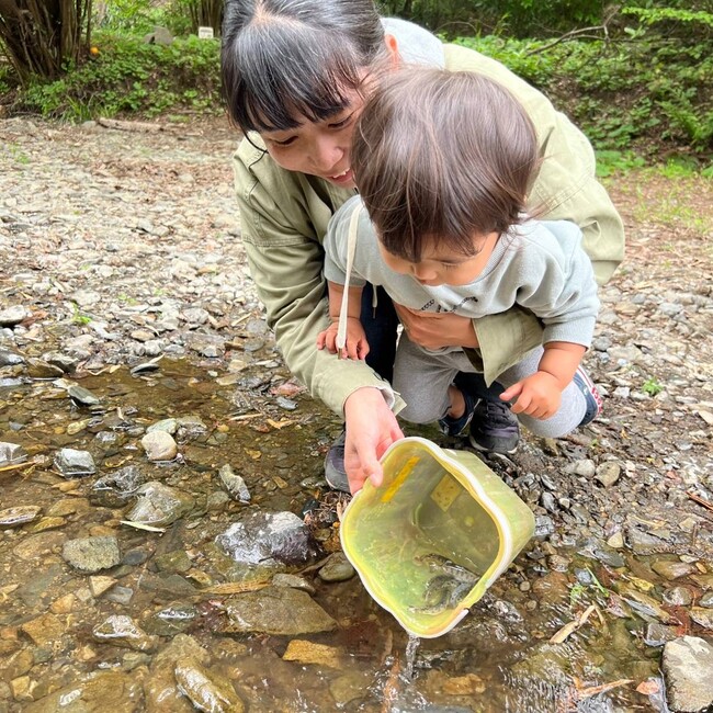 さやぐりのカバー写真