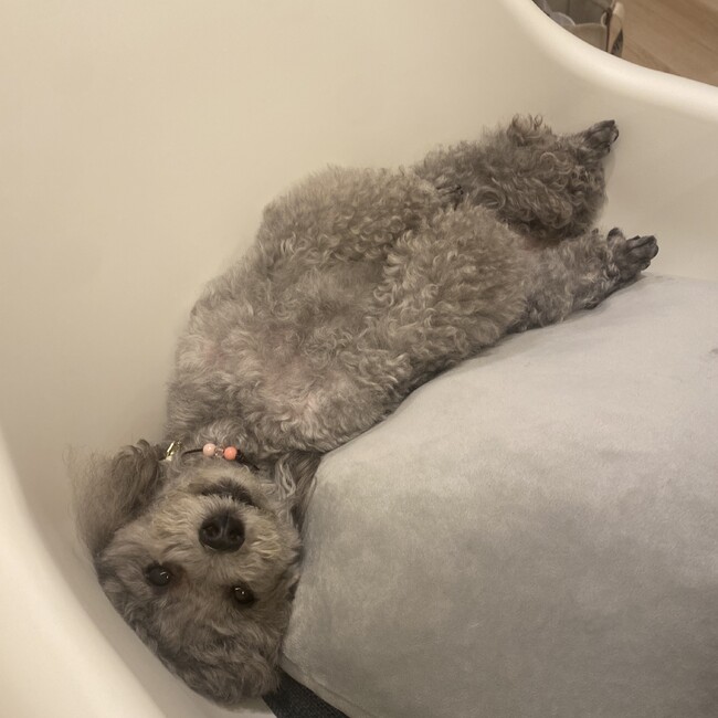 itorinka0812のカバー写真