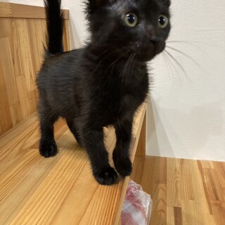 ありがとうございました★可愛い丸顔のカヨちゃん