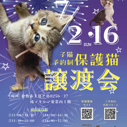 ほごっこ子猫の譲渡会（予約制）