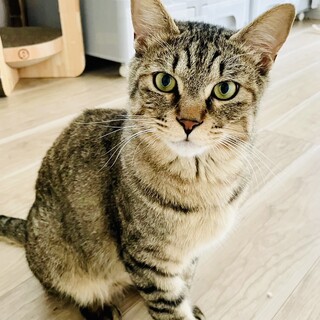 クール系男子の福くん!!【大阪市】