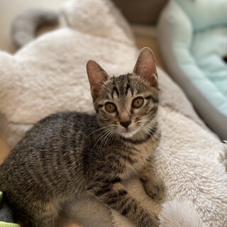 そっくり兄弟★がぁ君★性格良し