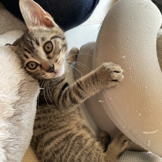  そっくり兄弟★もぅ君★性格良し