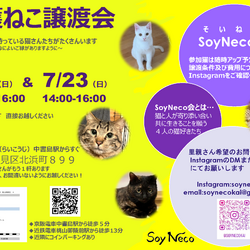 SoyNeco会保護ねこ譲渡会