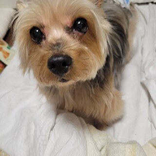 誰か私を貰ってください