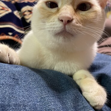 の写真