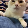 の写真