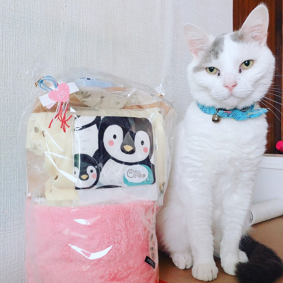 モロのカバー写真