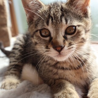 美人な顔立ちの元気な女の子♡